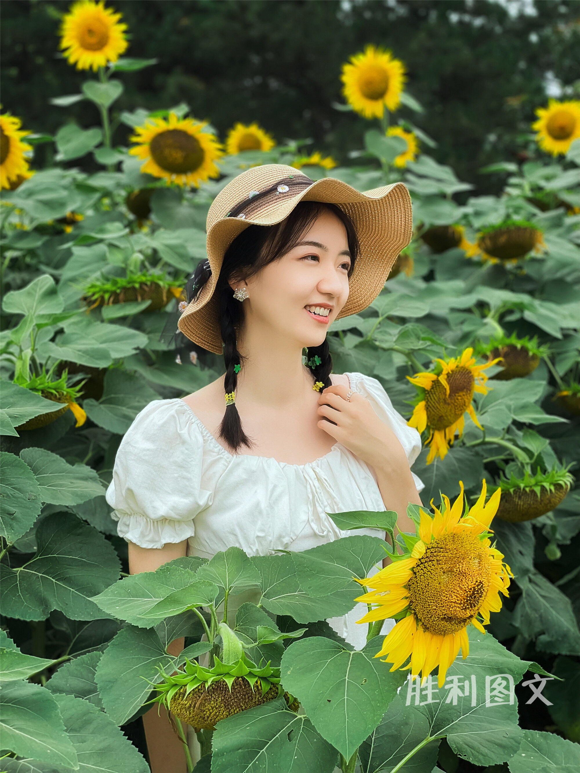 向日葵之所以幸福,是因为时刻都微笑着面对阳光,向阳而生,满满正能量.